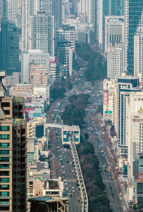 대구도시철도 4호선 곧 착공…히말라야시다 일부 잘려 나간다