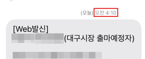 선거철마다 쏟아지는 전화·문자… 유권자 일상 파고든 '선거 공해'