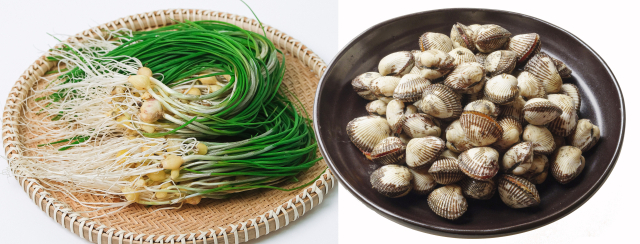 노정희 대구한의대 푸드케어약선학과 외래교수