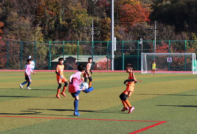 지난해 대회 모습. 울진군 제공