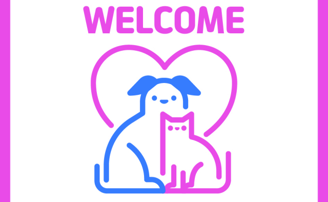 반려동물 식당 출입 허용…보호자도 업주도 혼란