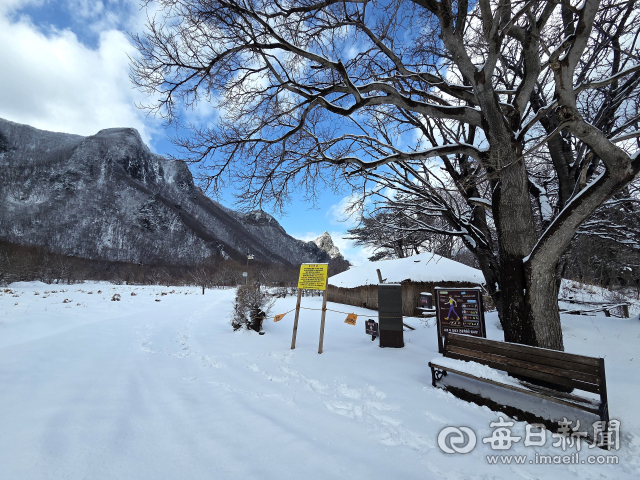 [르포] 봄과 겨울이 공존하는 울릉도… '나리분지'는 아직 겨울왕국