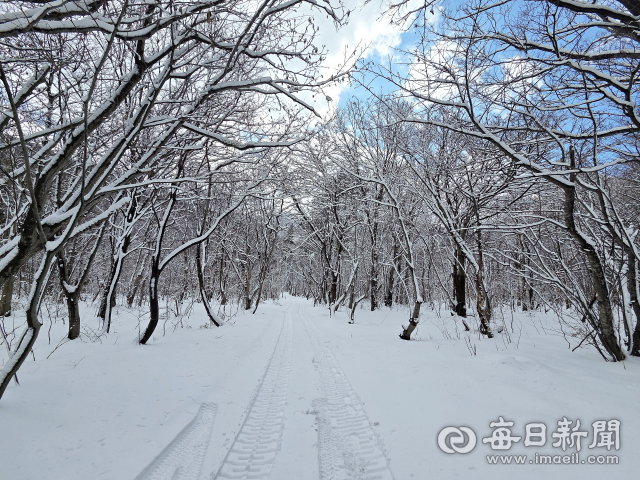 봄 문턱서 만난 겨울왕국…울릉도 '나리분지' 설경
