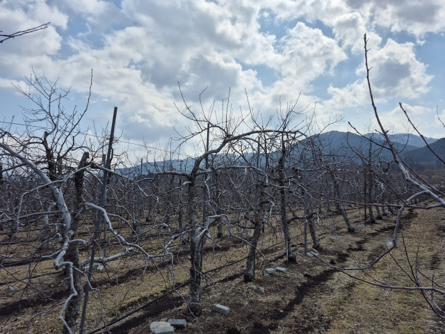 봉화군, 가업승계 우수농업인 정착지원 공모사업 선정