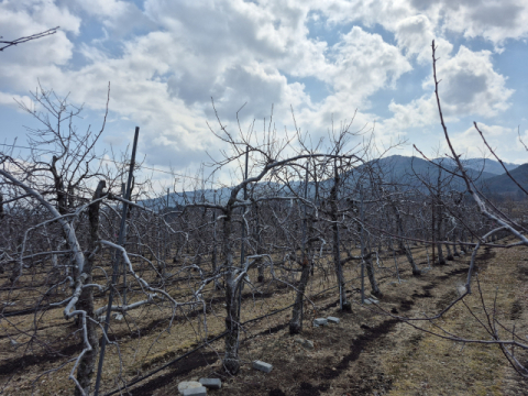 봉화군, 가업승계 우수농업인 정착지원 공모사업 선정