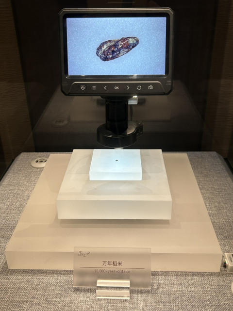[김명옥의 동아시아 신화에서 역사로] 1만1천년 전의 벼농사꾼들 -상산문화와 동이족 이야기