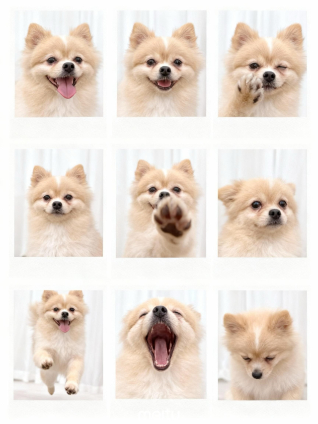 율무 AI 활용 생동감 있는 모습