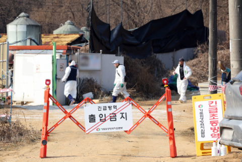 돼지열병 등 방역 초비상인데 '야생동물기피제' 사라질 판, 환경부 '엇박자 행정' 논란