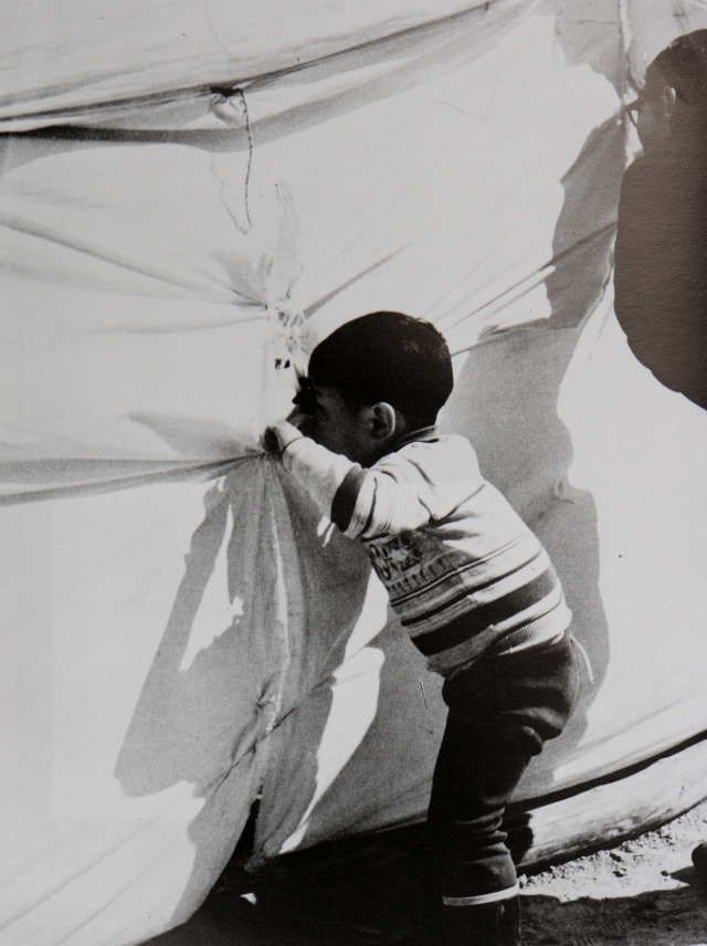 은상 김태연 작 