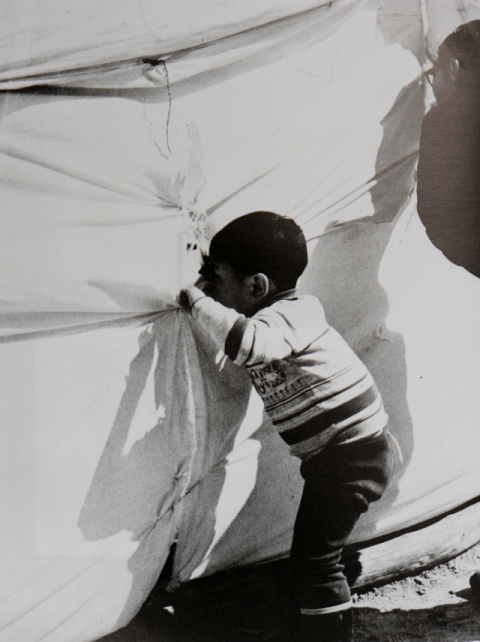 [매일신문 전국 어린이  사진공모전 70년]