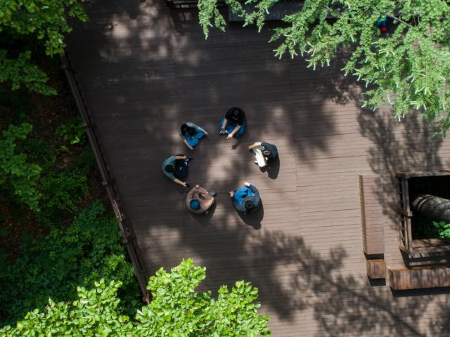 국립산림치유원 이용객들이 마실치유숲길에서 명상 프로그램에 참여하고 있다. 국립산림치유원 제공