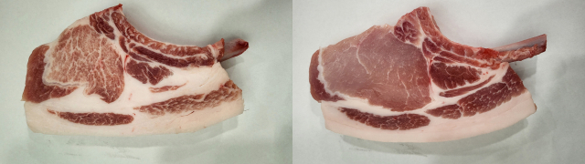 왼쪽부터 난축맛돈과 일반돼지 돈마호크(등심+가브리살+삼겹). 난축맛돈은 고기 내 근내지방 함량이 평균 10% 이상으로 일반 돼지(1~3%)보다 높고, 적색도 평균도 12.35로 일반 돼지(6.5~8.5)보다 선명하다. 2026.3.18. 농촌진흥청 제공