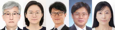 DGIST, 남녀 모두 부작용 없이 안전한 차세대 탈모 치료 물질 개발