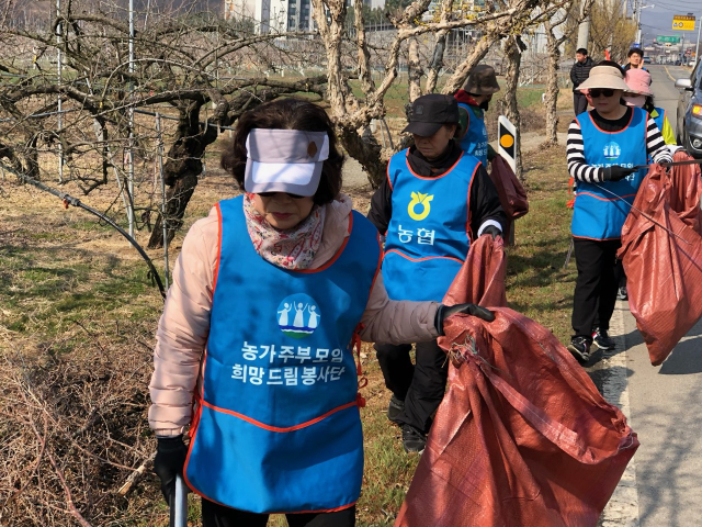 NH농협 의성군지부와 (사)의성군농가주부모임 회원들이 의성사곡로 일대에서 