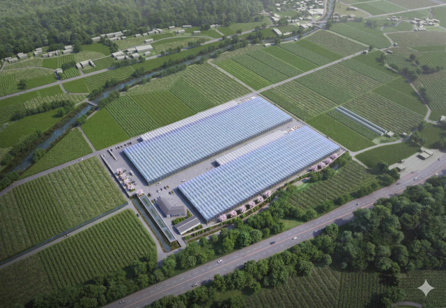 봉화군은 총사업비 245억원을 들여 조성한 임대형 스마트팜단지가 3월 말 준공을 앞두고 본격 운영에 들어갔다. 봉화군 제공