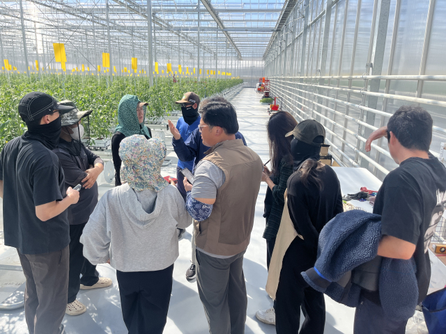 봉화군은 총사업비 245억원을 들여 조성한 임대형 스마트팜단지가 3월 말 준공을 앞두고 본격 운영에 들어갔다. 봉화군 제공