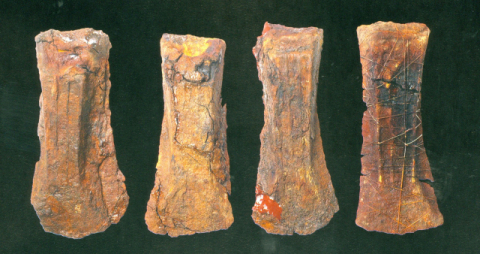 [윤명철의 다시 보는 한국역사와 문화] 가야. 동아지중해의 상해(商海)국가, 해양도시국가 연맹(polis)