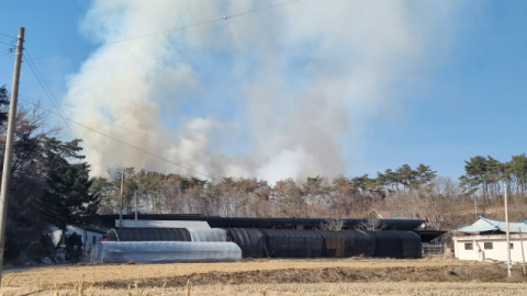 안동 와룡면 산불 긴급 대응…헬기 투입 속 46분 만에 진화