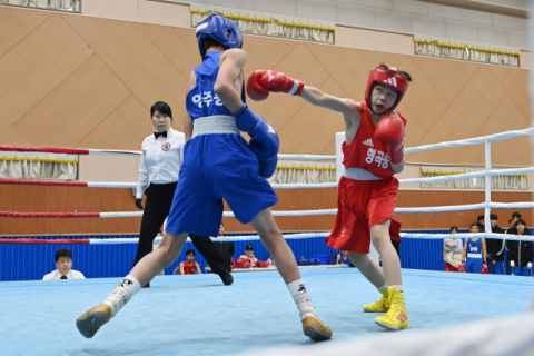 [포토뉴스] 주먹에 담은 꿈… 경북소년체전 권투 열전