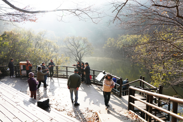 청송 주산지의 모습. 청송군 제공