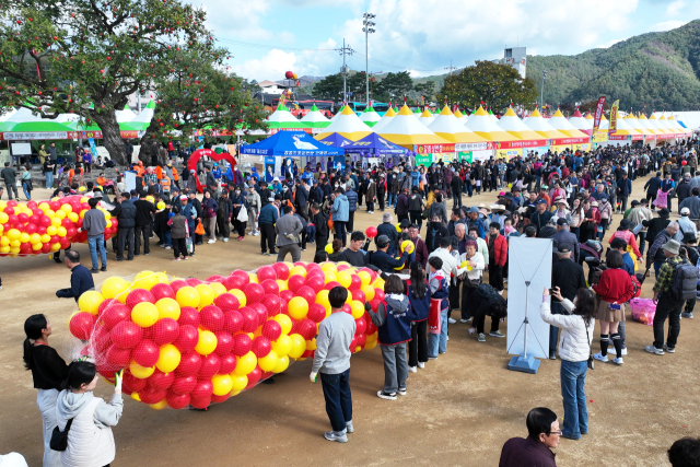 청송사과축제가 문화체육관광부가 지정하는 