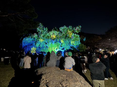 '역사를 걸어보GO! 체험하GO! 느껴보GO!'…달성군, 과거와 미래를 잇다