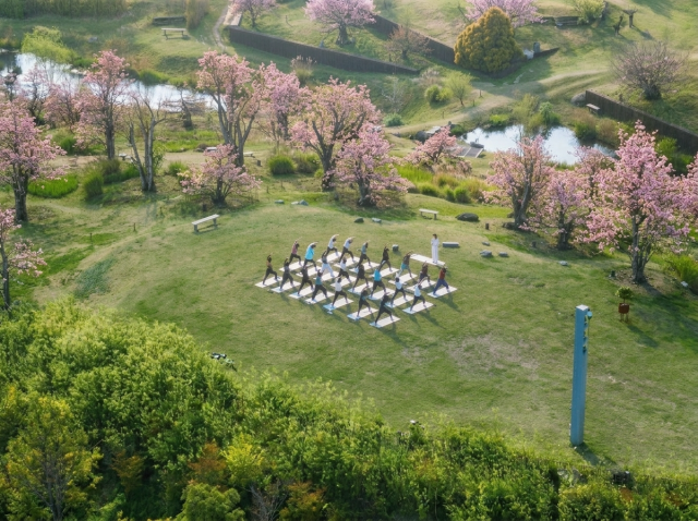 모과나무 정원에서 진행하는 요가 프로그램. 사유원 제공