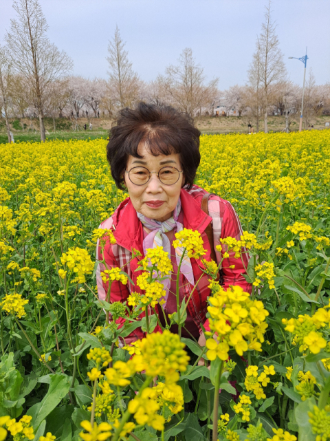 교통사고로 목숨 잃은 70대, 장기기증으로 3명 살렸다
