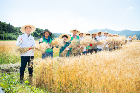 구미시, '구미밀가리'에 4억원 투입…지역 대표 농식품 산업 육성