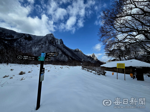 울릉도 설경. 나리분지 신령수 가는길.조준호 기자
