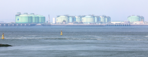 정부, 나프타 수출 제한 추진…