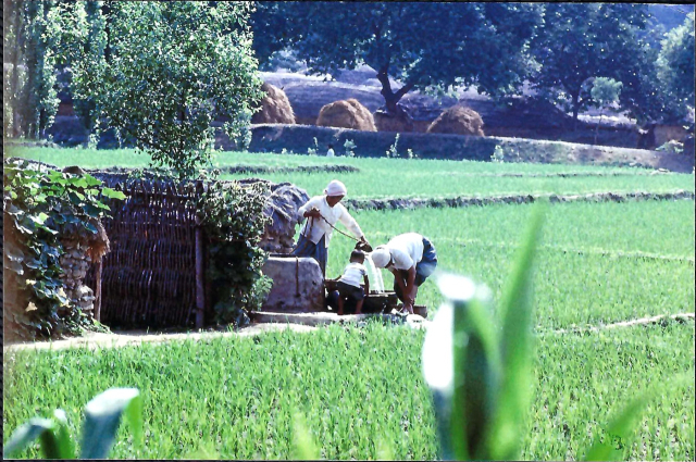 1960년대 당시 신녕면 신덕리 주민들의 생활 모습을 찍은 사진. 영천시 제공