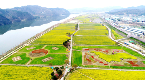 창녕군, 제21회 창녕낙동강유채축제 개최