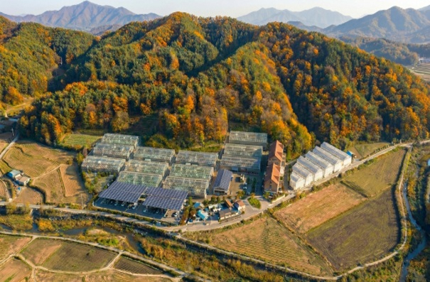 임산물 스마트팜 실증단지 조감도. 경북도 제공.