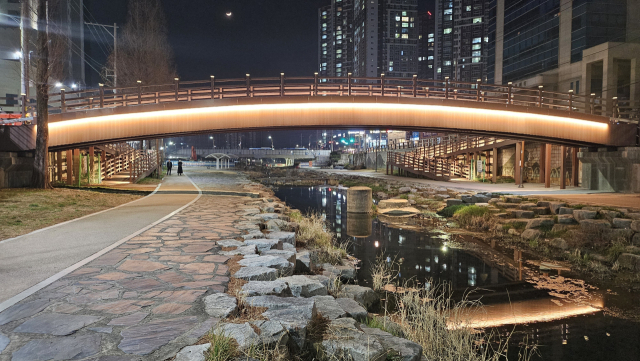 대구 달성군 화원읍 천내천 보행교량이 야관경관 개선사업을 마치고 새로운 빛의 명소로 부상하고 있다. 달성군 제공.