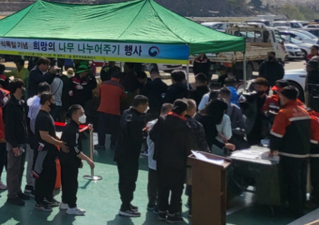 영주국유림관리소가 지난해 나무나눠주기 행사를 벌였다. 영주국유림관리소 제공