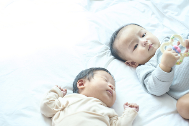 출처 게티이미지뱅크