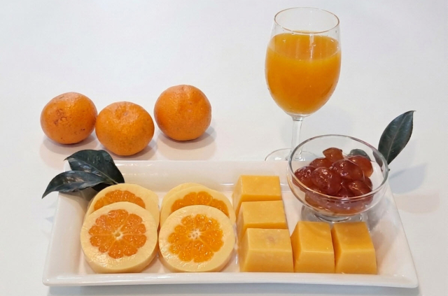 노정희 대구한의대 푸드케어약선학과 외래교수