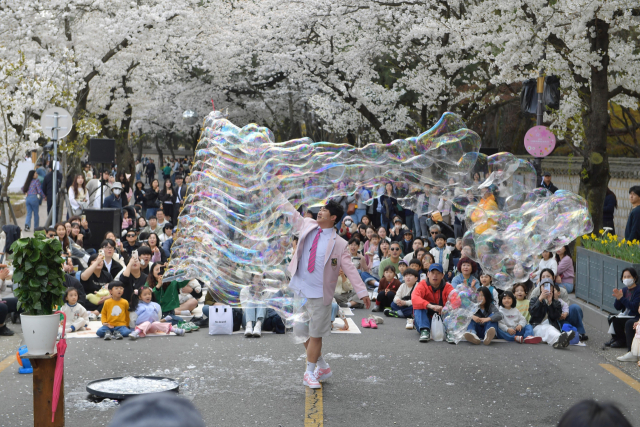 대형 산불 아픔 딛고…경북 곳곳 봄 축제 열린다