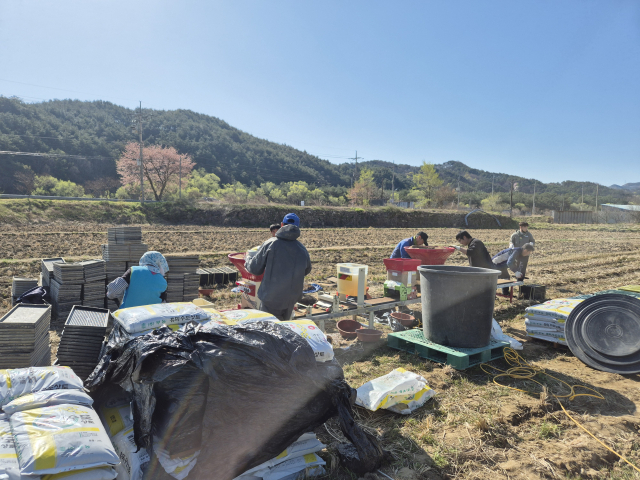 지난해 못자리 모습. 울진군 제공