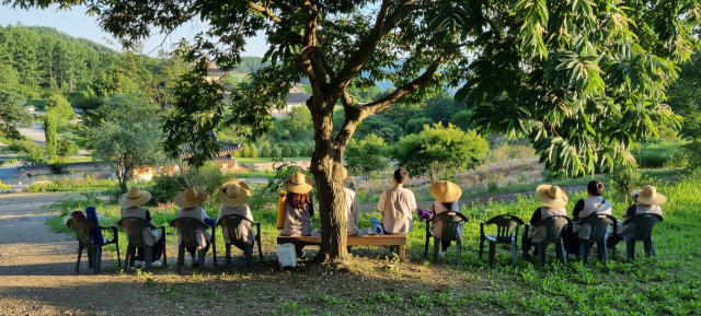 사찰 힐링하고 전통시장 장보고…4월 12일 '지역 상생' 기차여행 떠난다