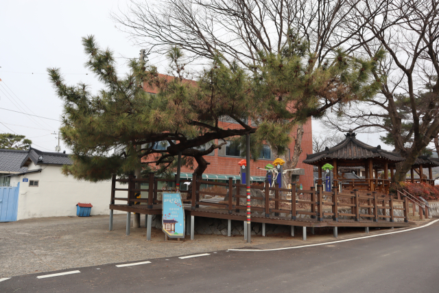 매원마을 동솔밭 지맥이 끝나는 지점에 자리한 송단에서 발걸음이 시작된다.