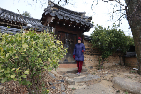 [양진오의 대구경북의 집이야기] 매화처럼 피는 마을, 칠곡 매원마을