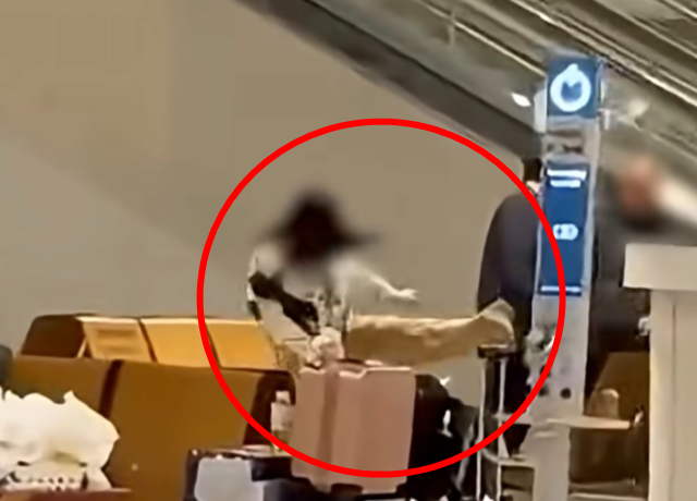 보배드림 캡처.