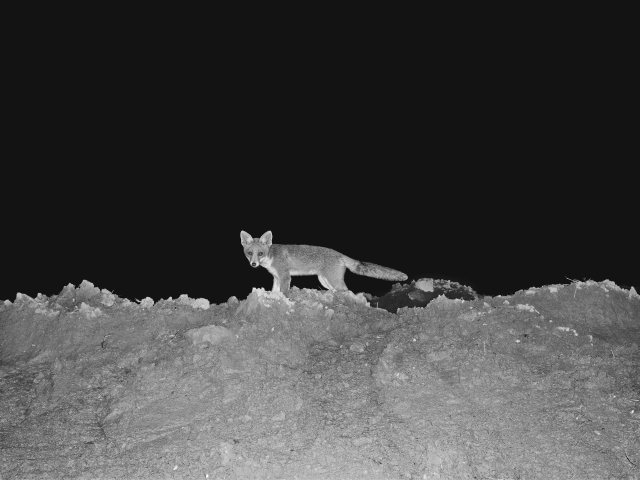 권도연, 야간행 9, 2022.