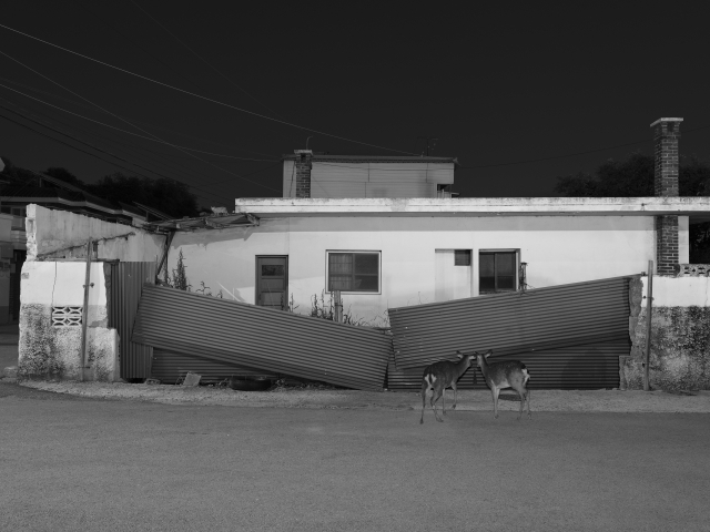 권도연, 야간행 8, 2022.