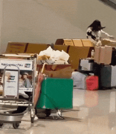 인천공항 직원 멱살 잡고 발차기까지 한 한국인 여성