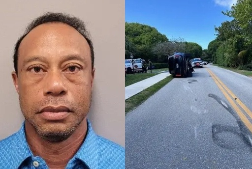 타이거 우즈의 머그샷과 사고 차량. BBC