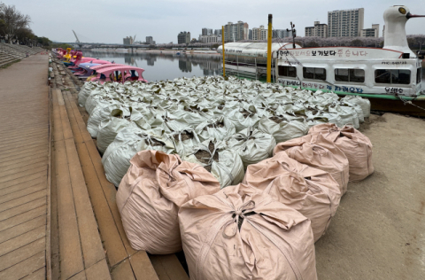 벚꽃 절정인데… 동촌유원지 선착장 '토사 포대·데크 잔해' 방치