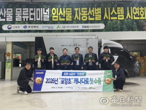 포항 명품 시금치 '포항초' 30일 캐나다 첫 수출길